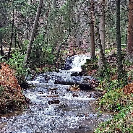 Bed and Breakfast Aux Capucines