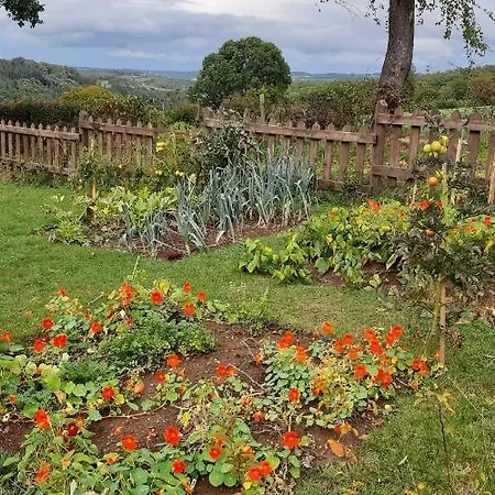 Aux Capucines * Theux